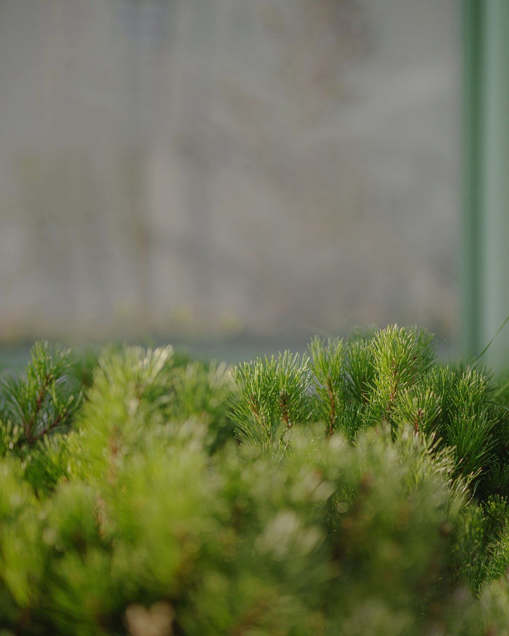 2026-04-16 18.11.42.jpg