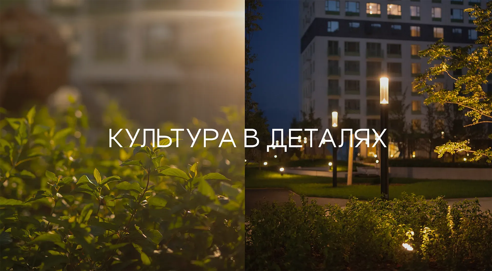 Культура в деталях